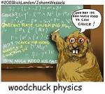 RickLondon_WoodchuckPhysics