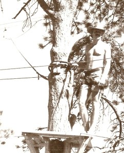 Me in the tree--see below