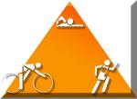 Triathlon logo